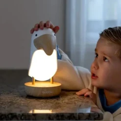 Bubble Toucan Night Light