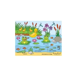 Busymat Travel Placemat - Life Cycle of a Frog