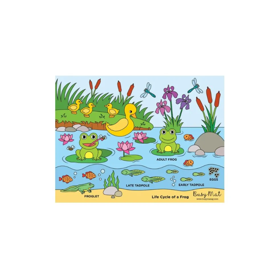 Busymat Travel Placemat - Life Cycle of a Frog