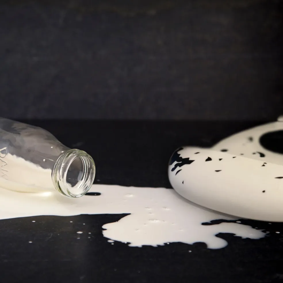 Kushies Silicatch Bib - Spilt Milk