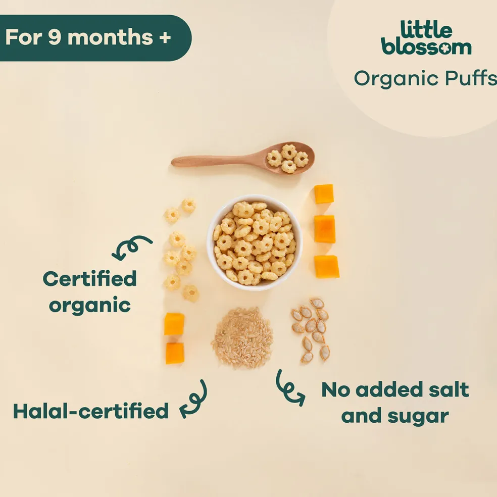 Little Blossom Organic Brown Rice Puffs | Pumpkin