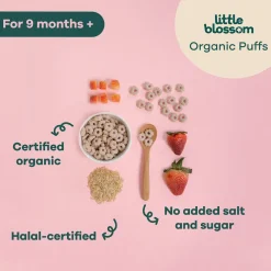 Litttle Blossom Organic Brown Rice Puffs | Strawberry