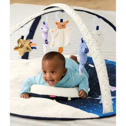 Skip Hop Celestial Dreams Activity Gym