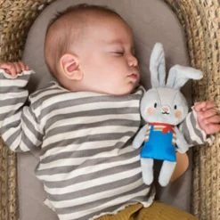 Taf Toys Rylee the Bunny