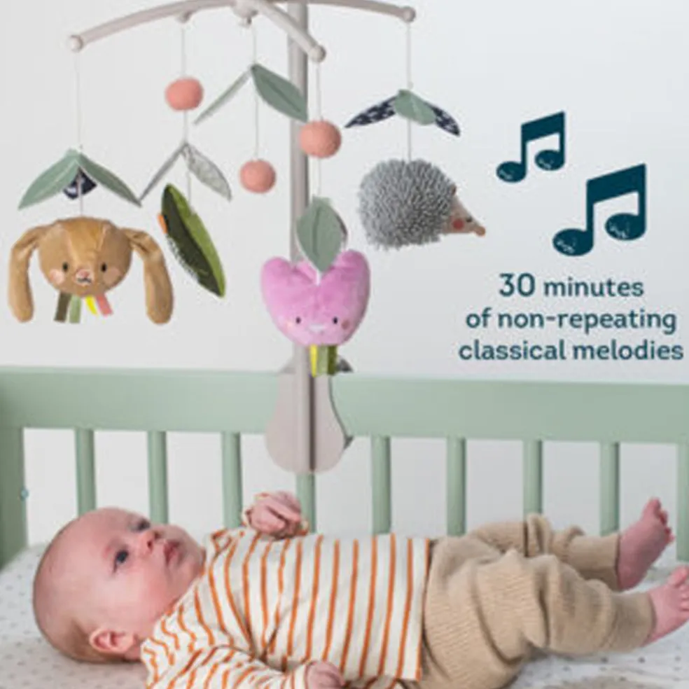 Taf Toys Urban Garden Musical Mobile
