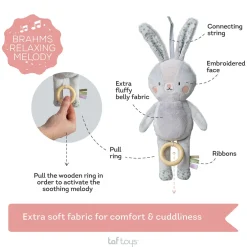 Taf Toys Urban Garden Rylee Musical Bunny