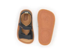 Tip Toey Joey Explorer - Avy